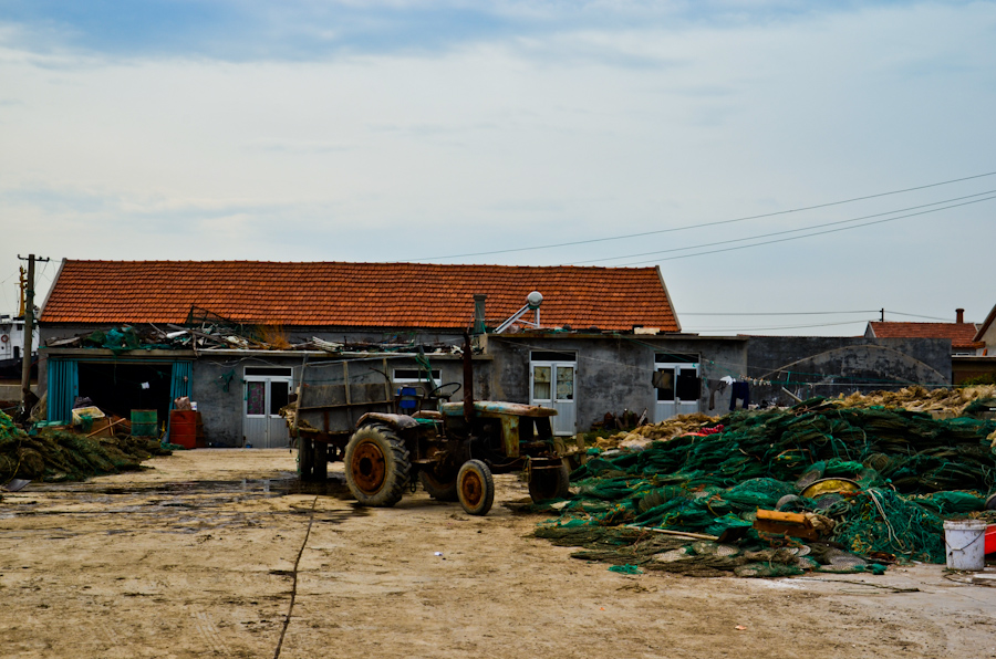DSC_0351.jpg