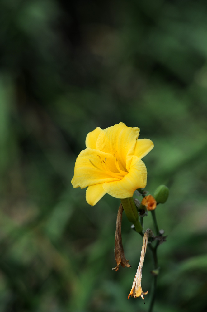 DSC_7952.JPG