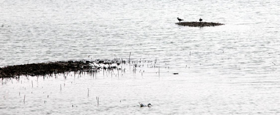 水上人家 (3).jpg