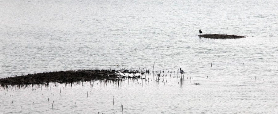 水上人家 (4).jpg