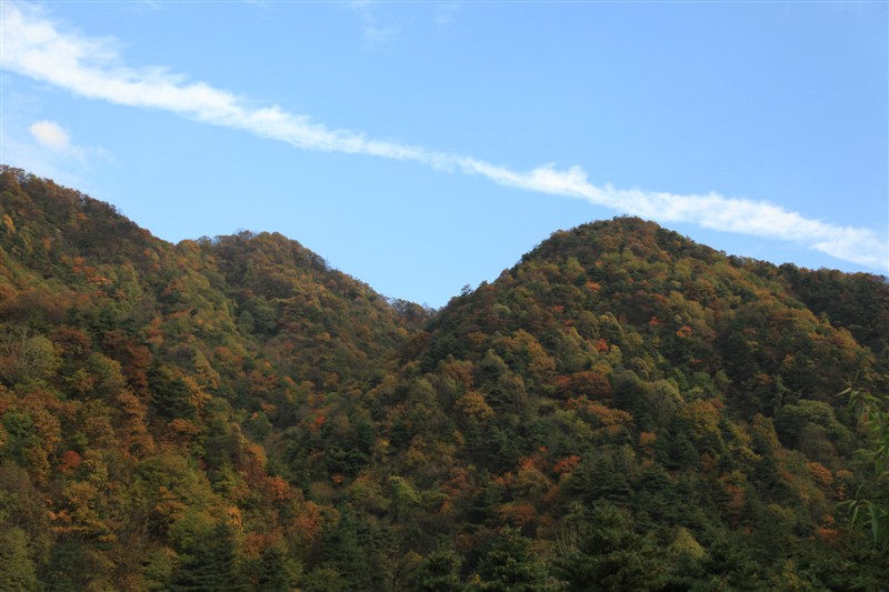 照片 065.jpg