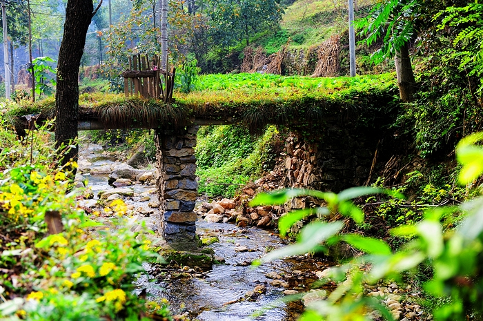 江山村小桥