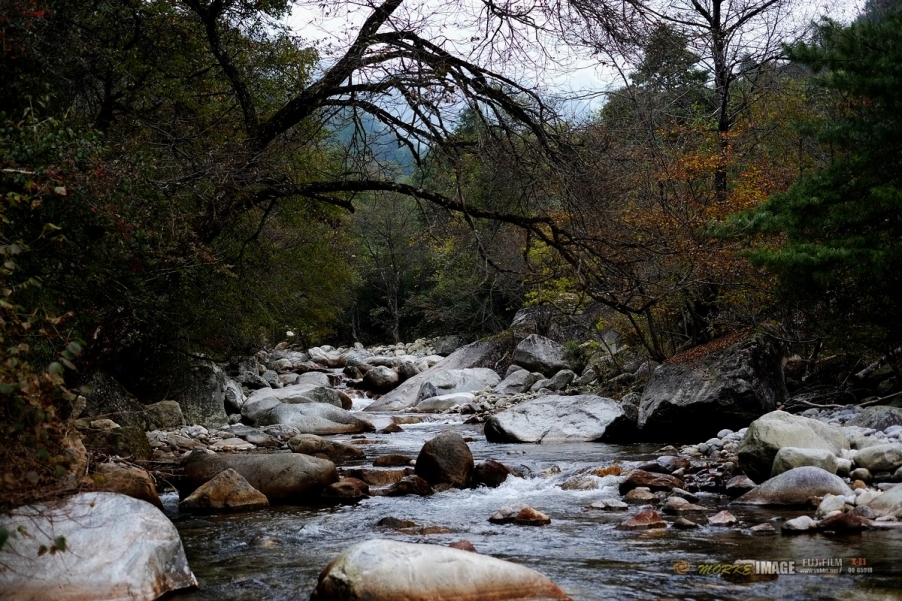 DSCF1733a.jpg