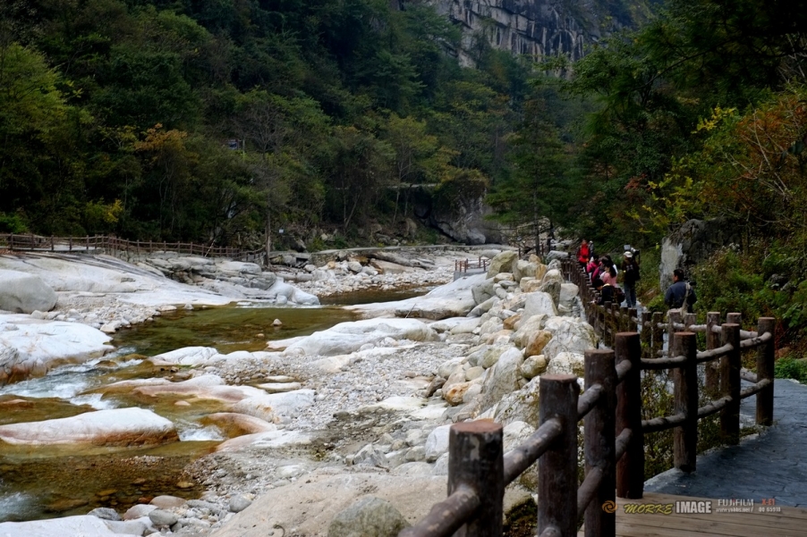 DSCF1822a.jpg