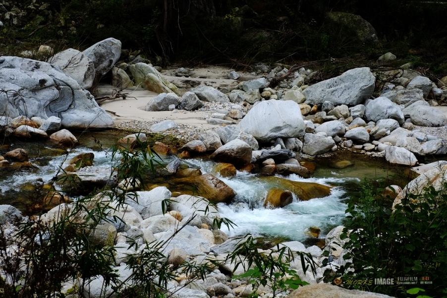 DSCF1881a.jpg