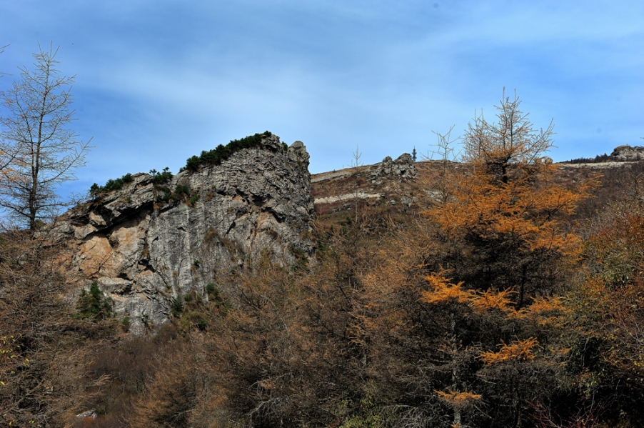 DSC_5412.jpg