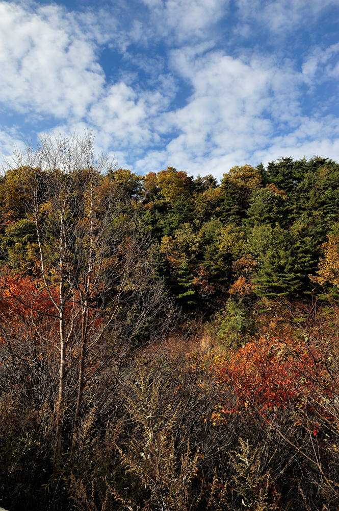 DSC_5650.jpg