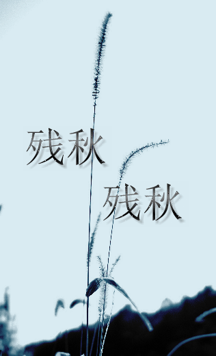 文件.gif