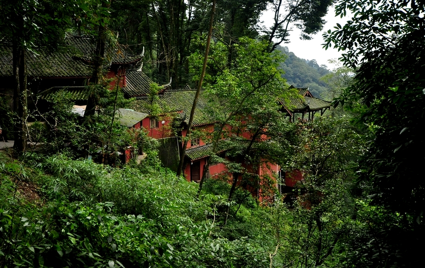 DSC_0124.jpg