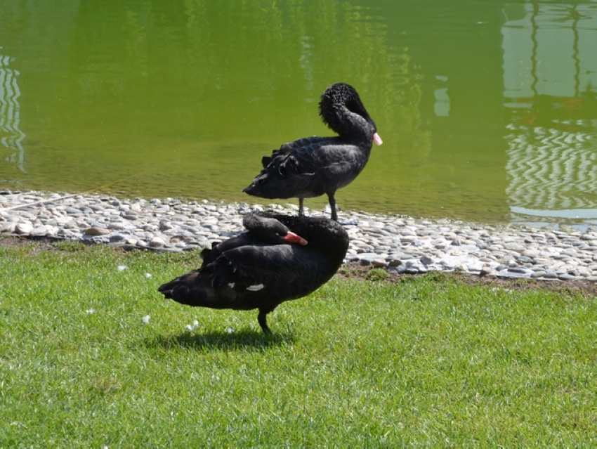DSC_0119.jpg