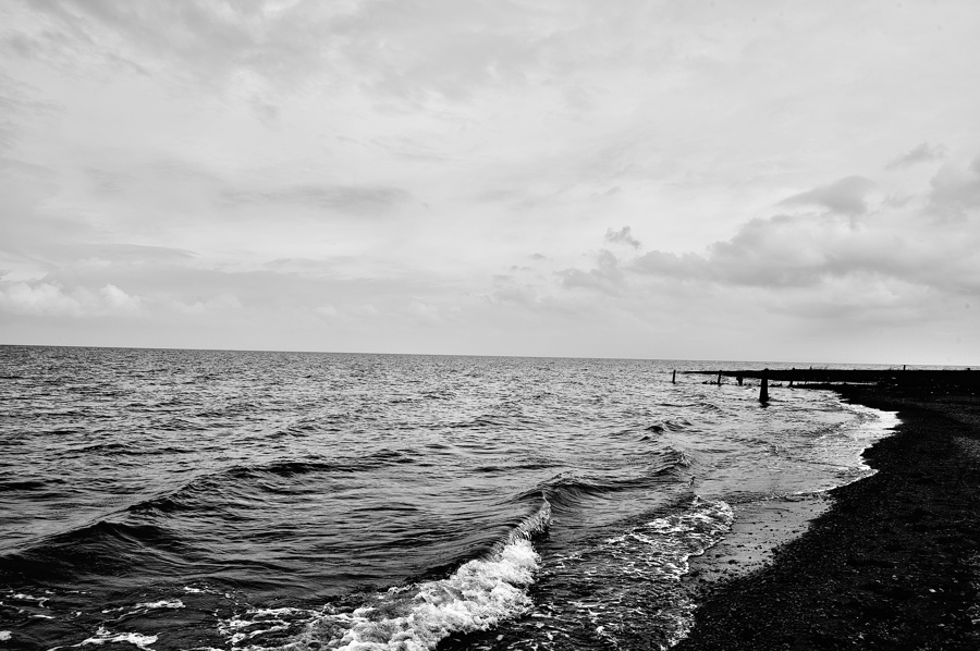 HOU_0439.jpg