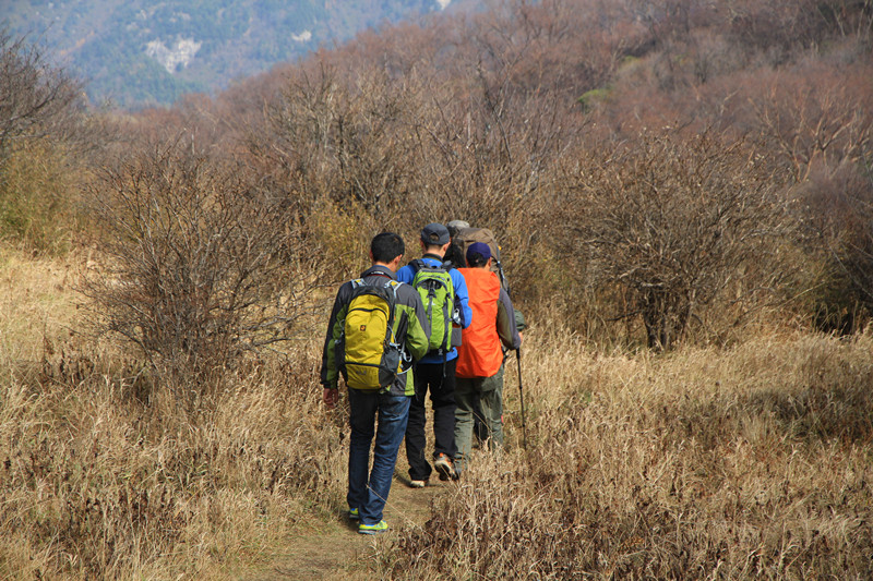 秦岭 188_副本.jpg