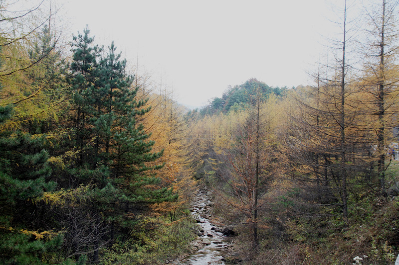 秦岭 260_副本.jpg