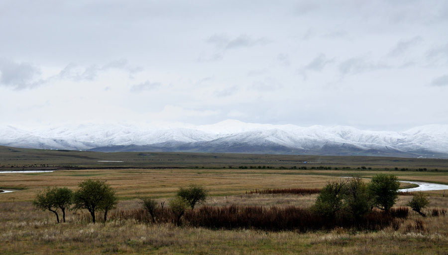DSC_0196_02900x500.jpg