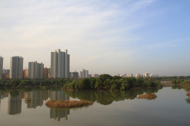 秦岭 014_副本.jpg