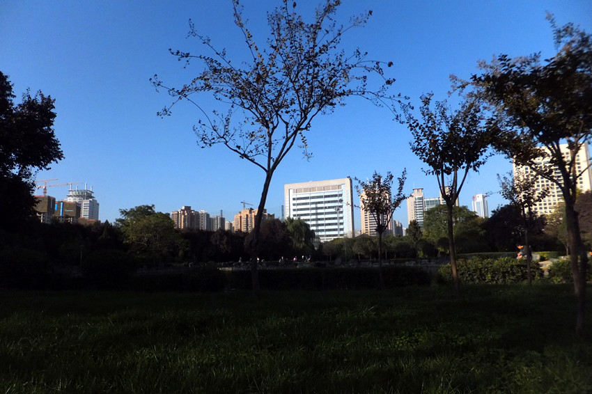 dscf6180_副本.jpg