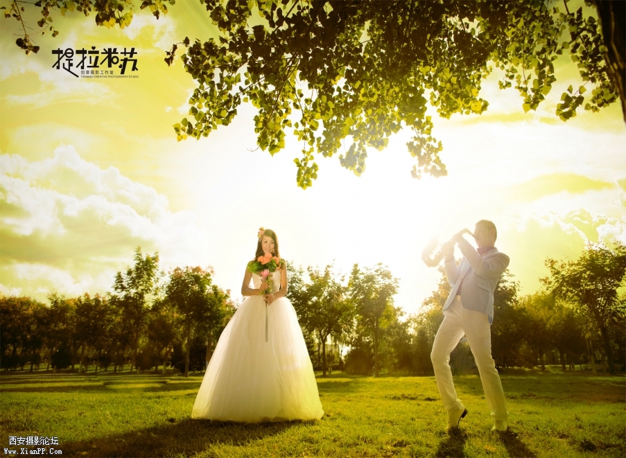 提拉米苏创意摄影