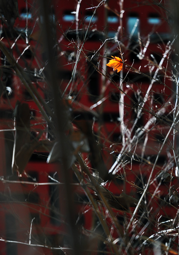 DSC_0047.JPG