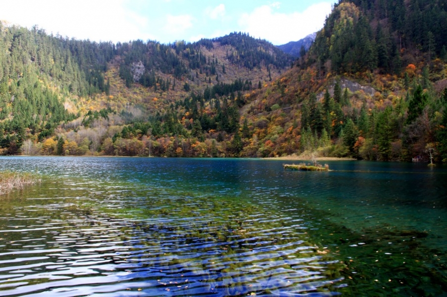 九寨，黄龙风光 130.jpg