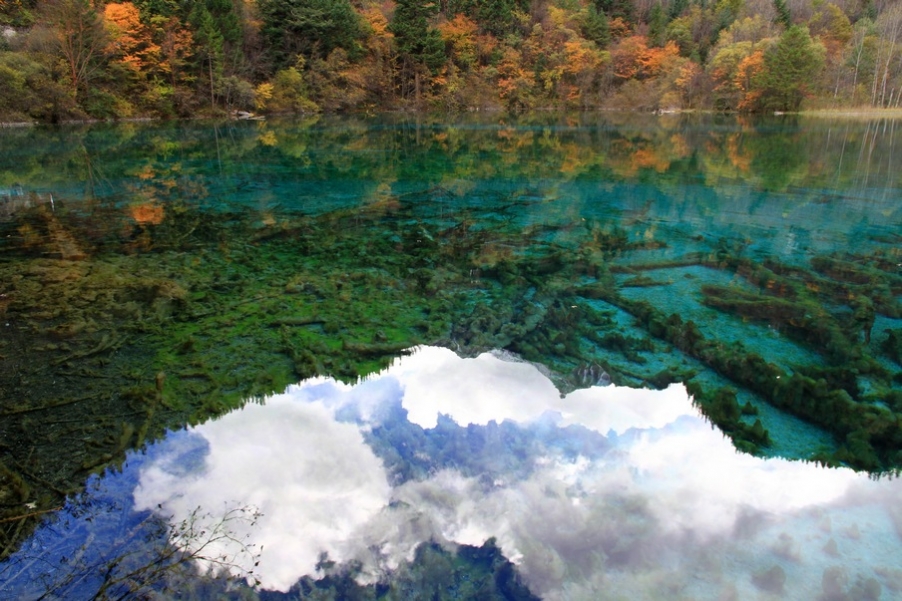 九寨，黄龙风光 161.jpg