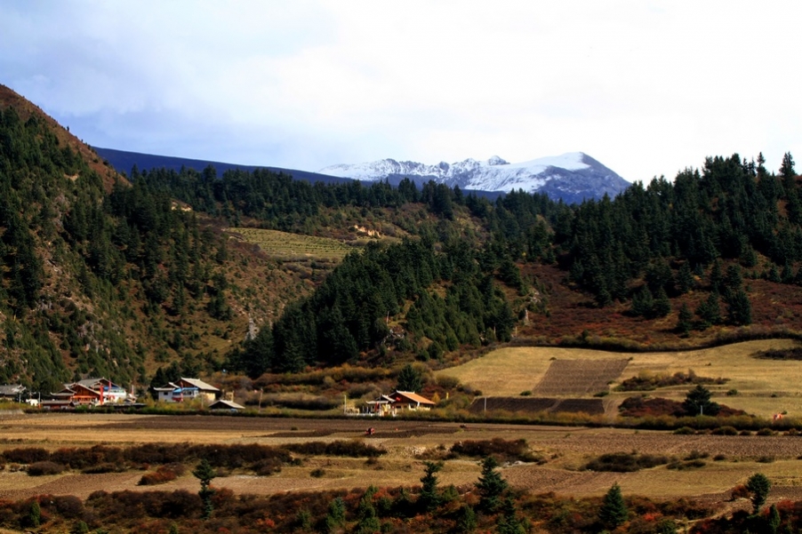 九寨，黄龙风光 297.jpg