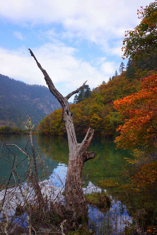 DSC01269_副本.jpg