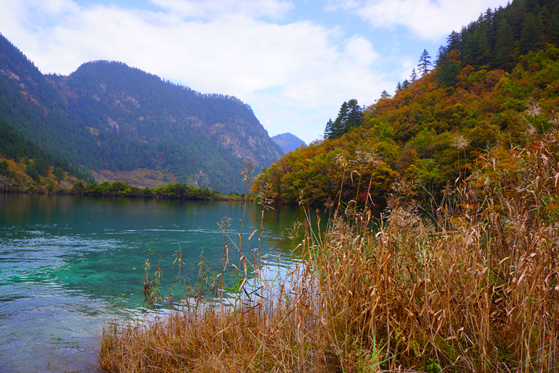 DSC01276_副本.jpg