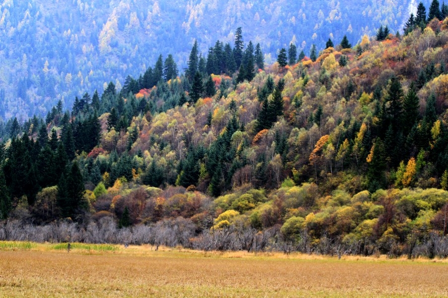 九寨，黄龙风光 254.jpg