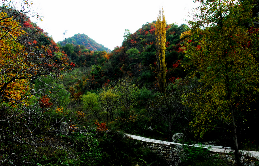 DSC_0099.JPG