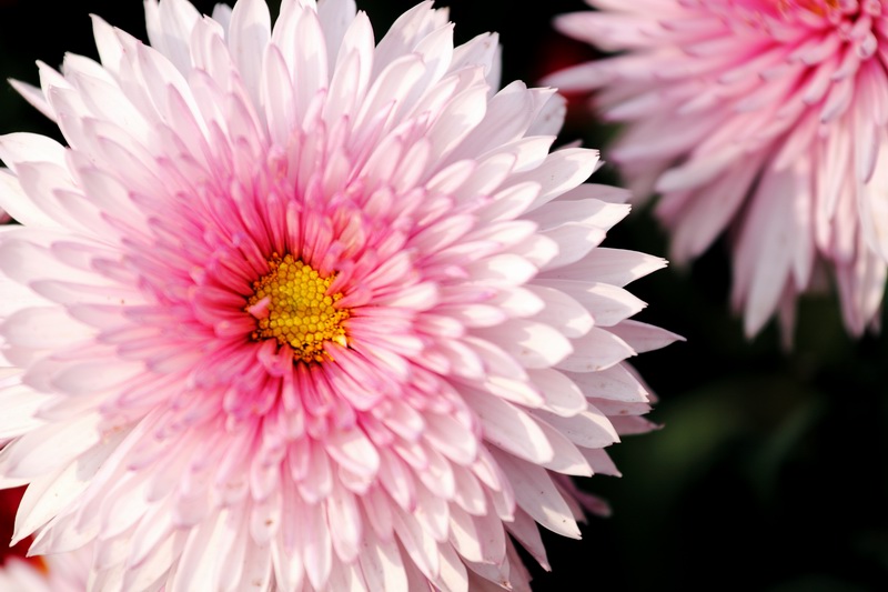 调整大小 _MG_7658@.JPG