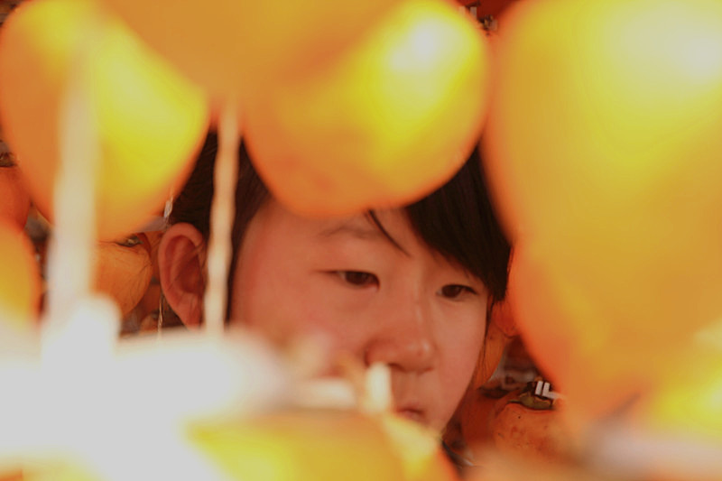 富平柿子 127_副本_副本.jpg