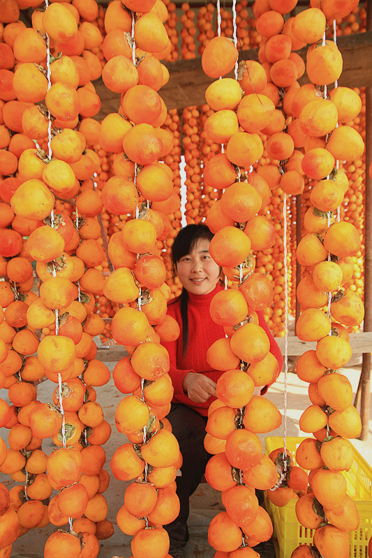 富平柿子 131_副本_副本.jpg