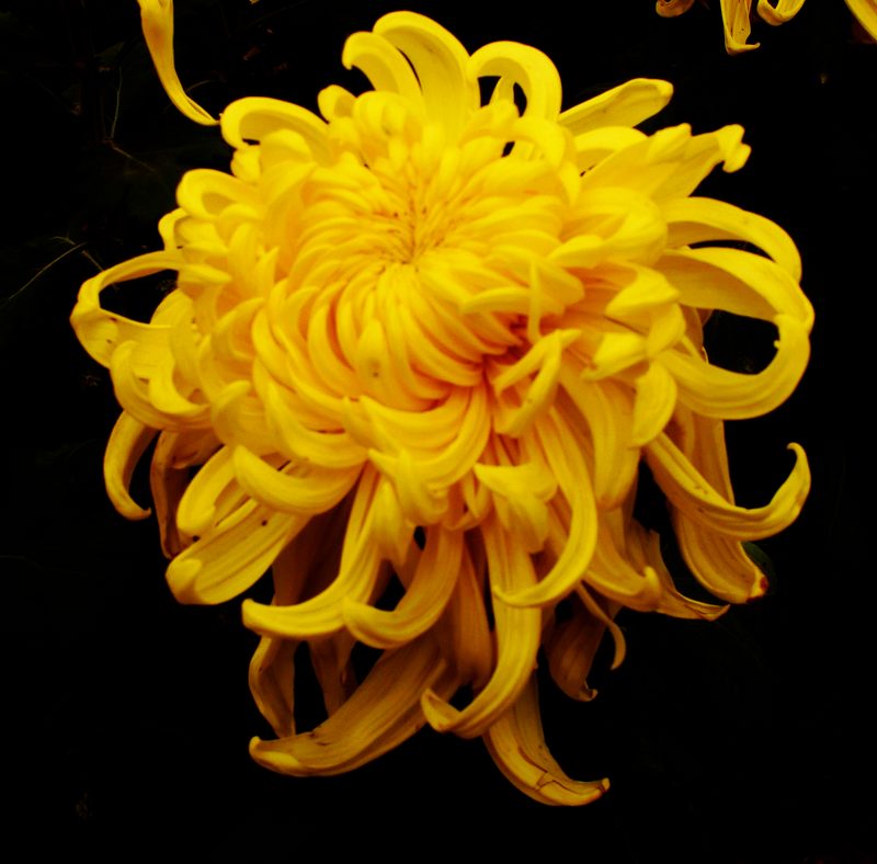 DSC05887.JPG