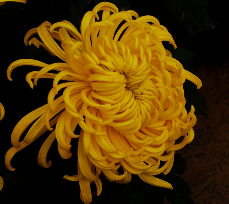 DSC05874.JPG
