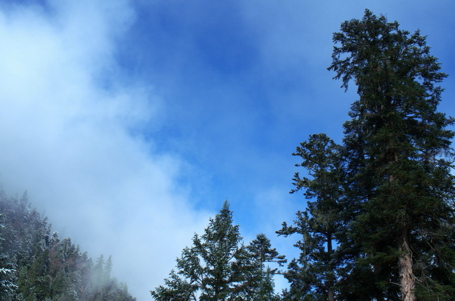 L1021657.jpg