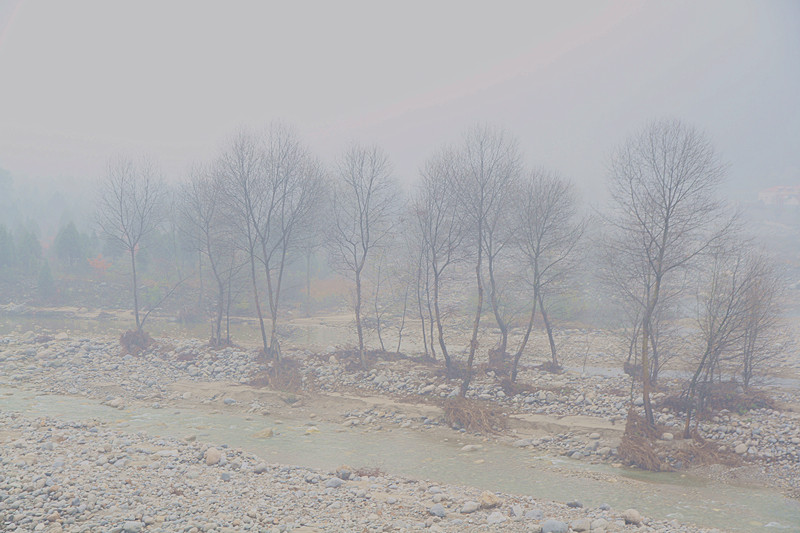 黄柏塬 006_副本.jpg