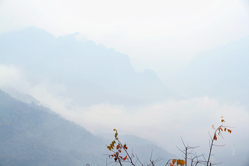 黄柏塬 023_副本.jpg