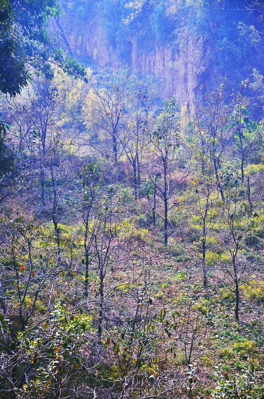 nEO_IMG_nEO_IMG_nEO_IMG_桌面照片 2235副本.jpg