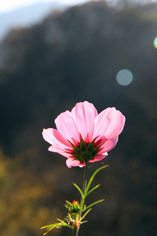 黄柏塬 167_副本.jpg