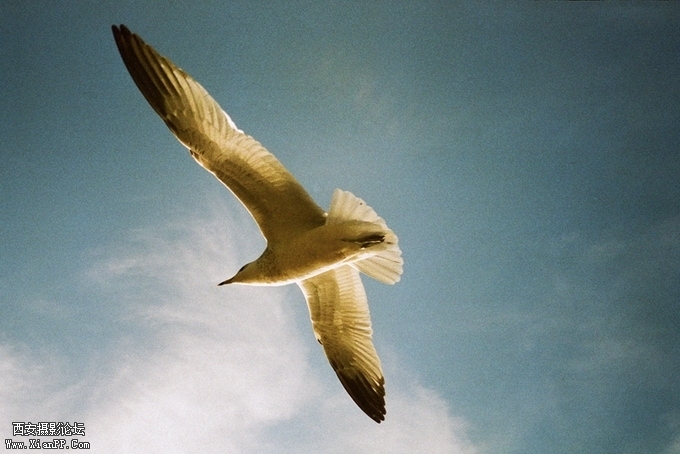 090442xb0c2regjriu0c2c.jpg