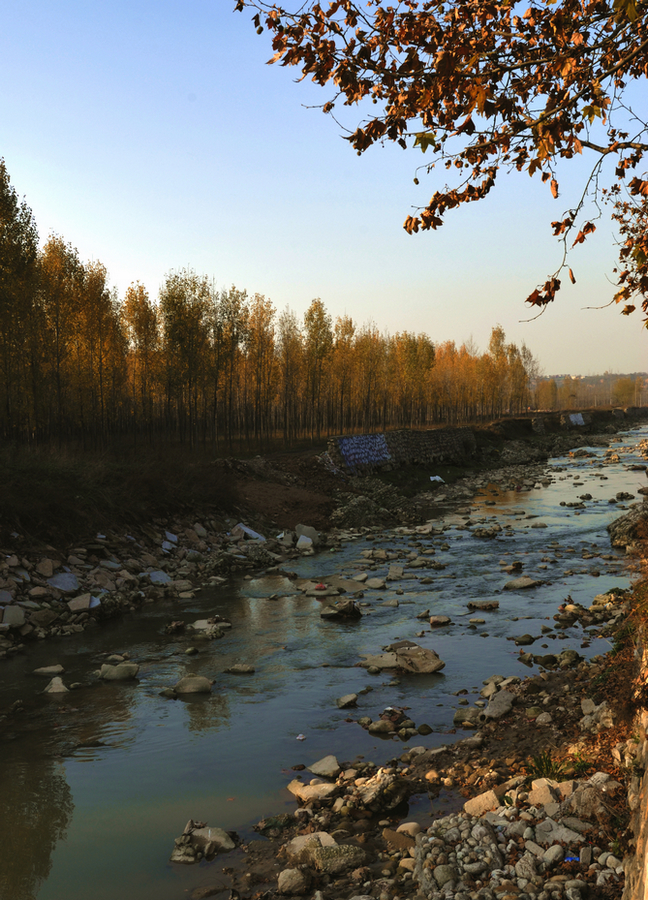 _DSC0086.jpg