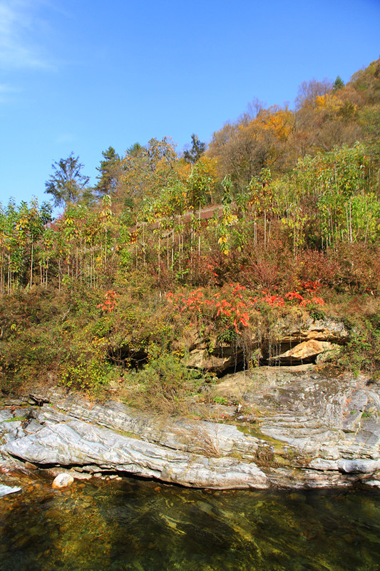 黄柏塬 351_副本.jpg