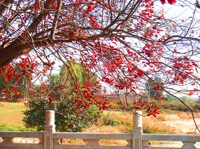 DSC09179_副本.jpg