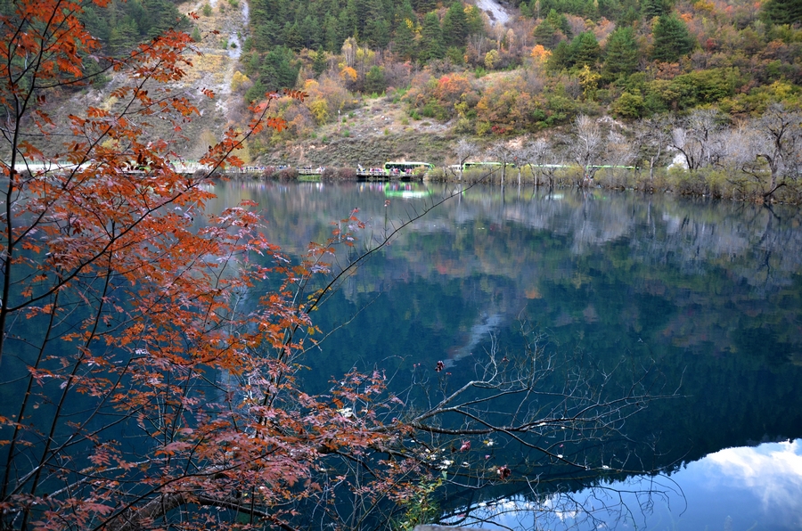 nEO_IMG_DSC_1892.jpg