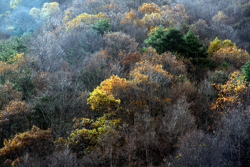 黄柏塬 472_副本.jpg