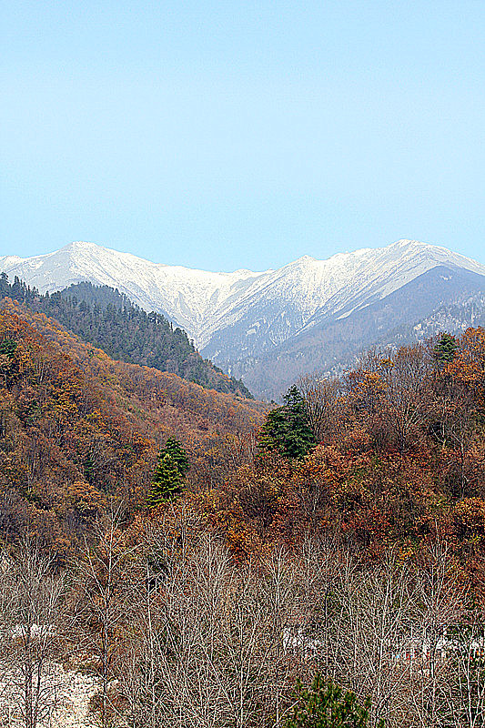 黄柏塬 501_副本_副本.jpg