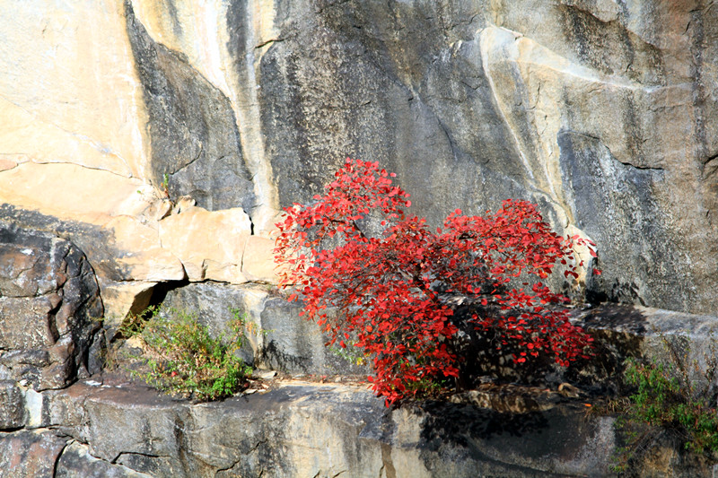 黄柏塬 522_副本.jpg