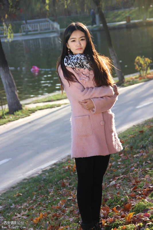 抱怀凝视节气无情