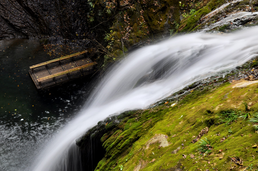 _DSC2232.jpg