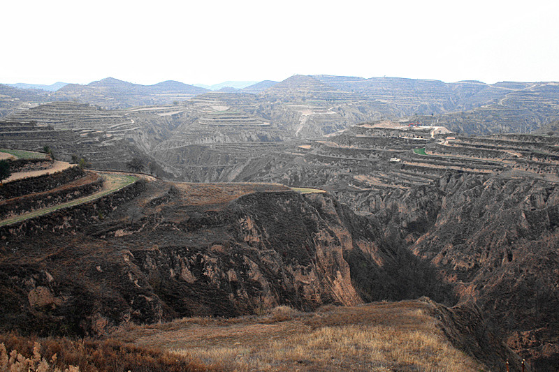 照片 037_副本.jpg